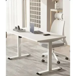 Sit - Stand Adjustable Standing Desk