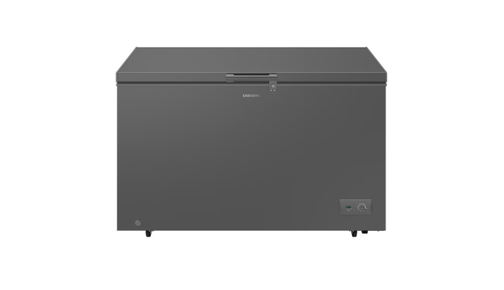 Samsung 371L Chest Freezer With Built-In Stabilizer