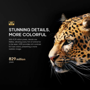 Syinix 55 Inch UHD 4K Google TV Home Cinema Experience U61G Series