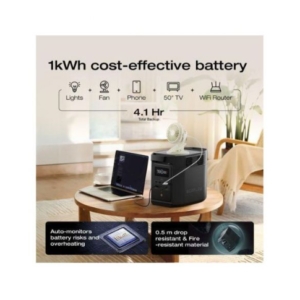 Ecoflow E980 980W Portable Power Station